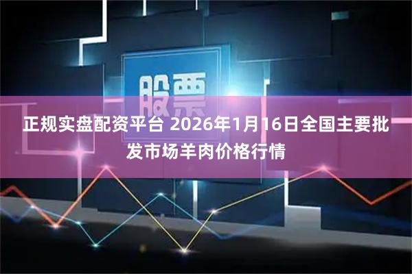 正规实盘配资平台 2026年1月16日全国主要批发市场羊肉价格行情
